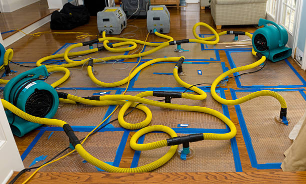 Professional Structural Drying And Dehumidification technician working in Brookville, PA